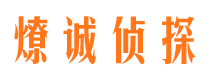 临武侦探